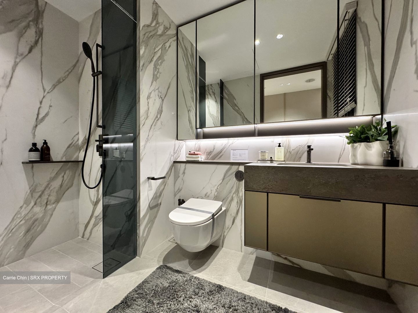 Promenade Peak (D3), Condominium #505900551